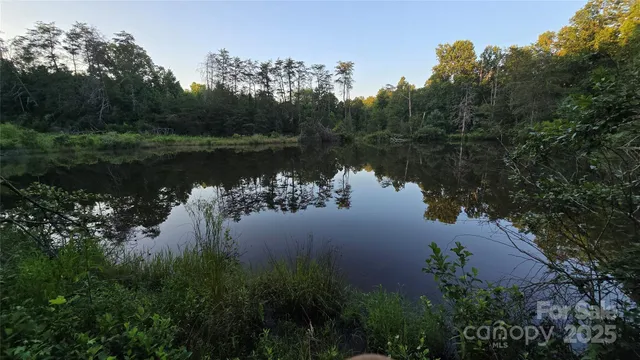 a backyard of a house with lots of green space and fountain