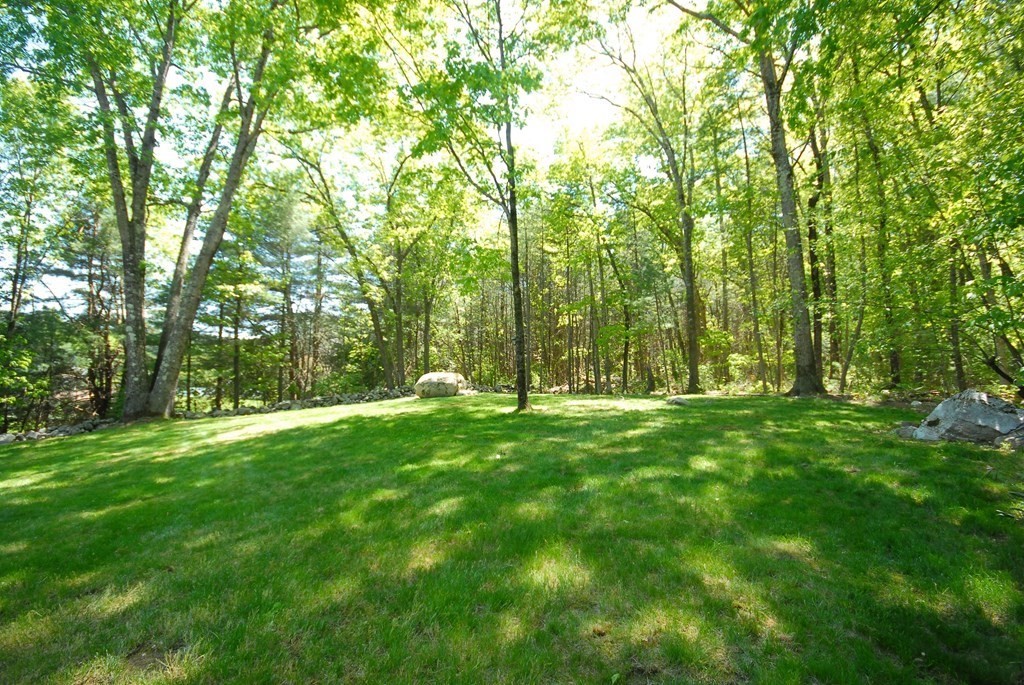 22 Taylor Road Stow, MA 01775 - Photo 30 of 32 a view of lush green forest