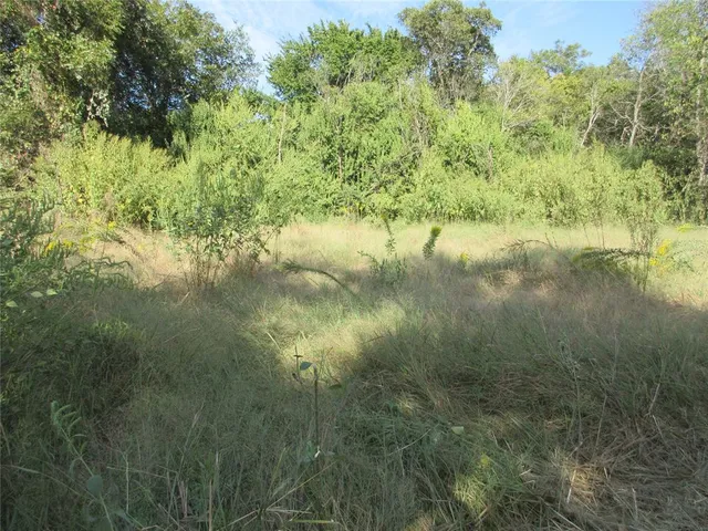 $7,000 | 0 Fleming Street, Marlin, TX 76661