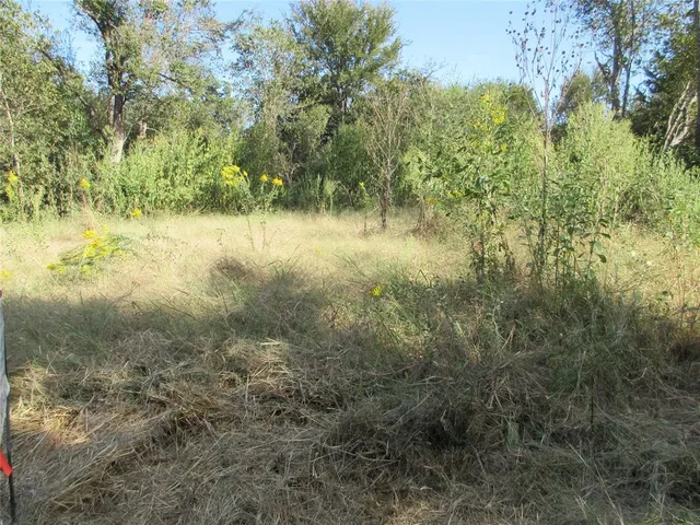 $7,000 | 0 Fleming Street, Marlin, TX 76661