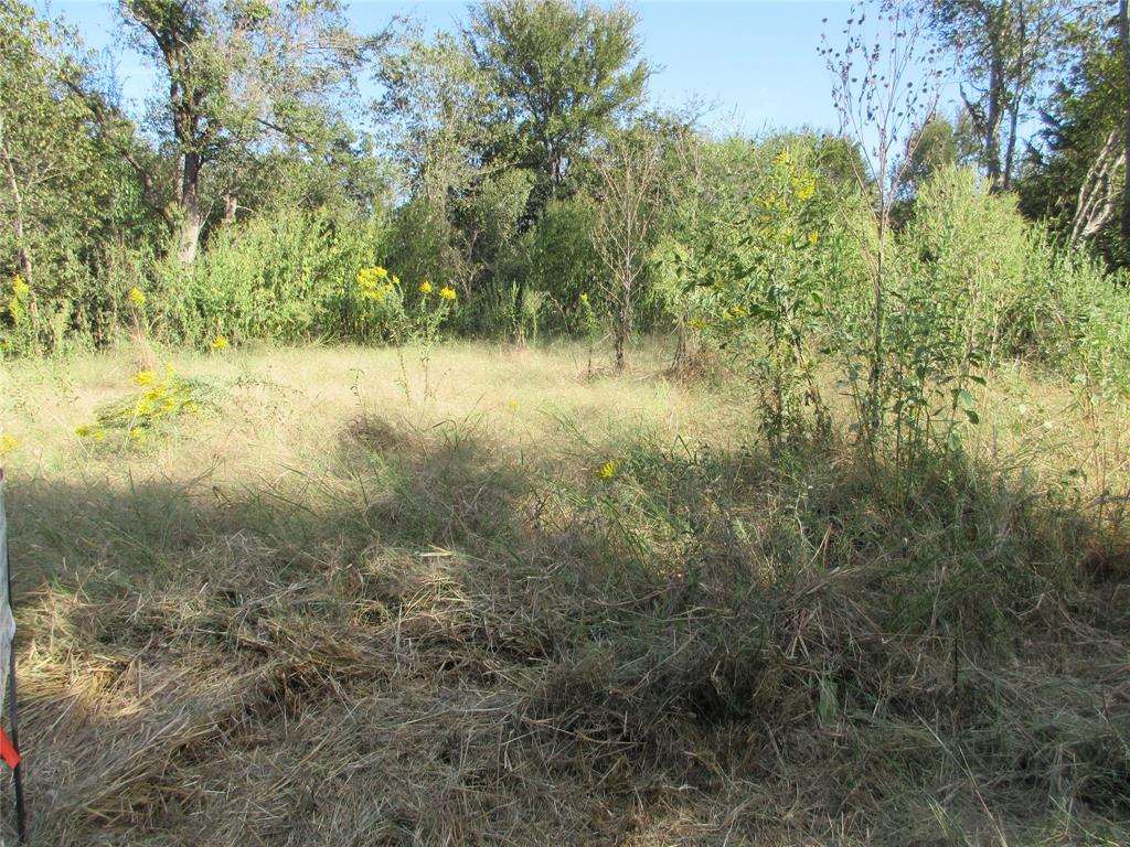 0 Fleming Street Marlin, TX 76661 - Photo 3 of 4 View of nature