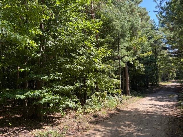 0 Paradise Ridge Trail, Unit LOT: L Cedar, MI 49684 - Photo 12 of 17 Gallery Image 12