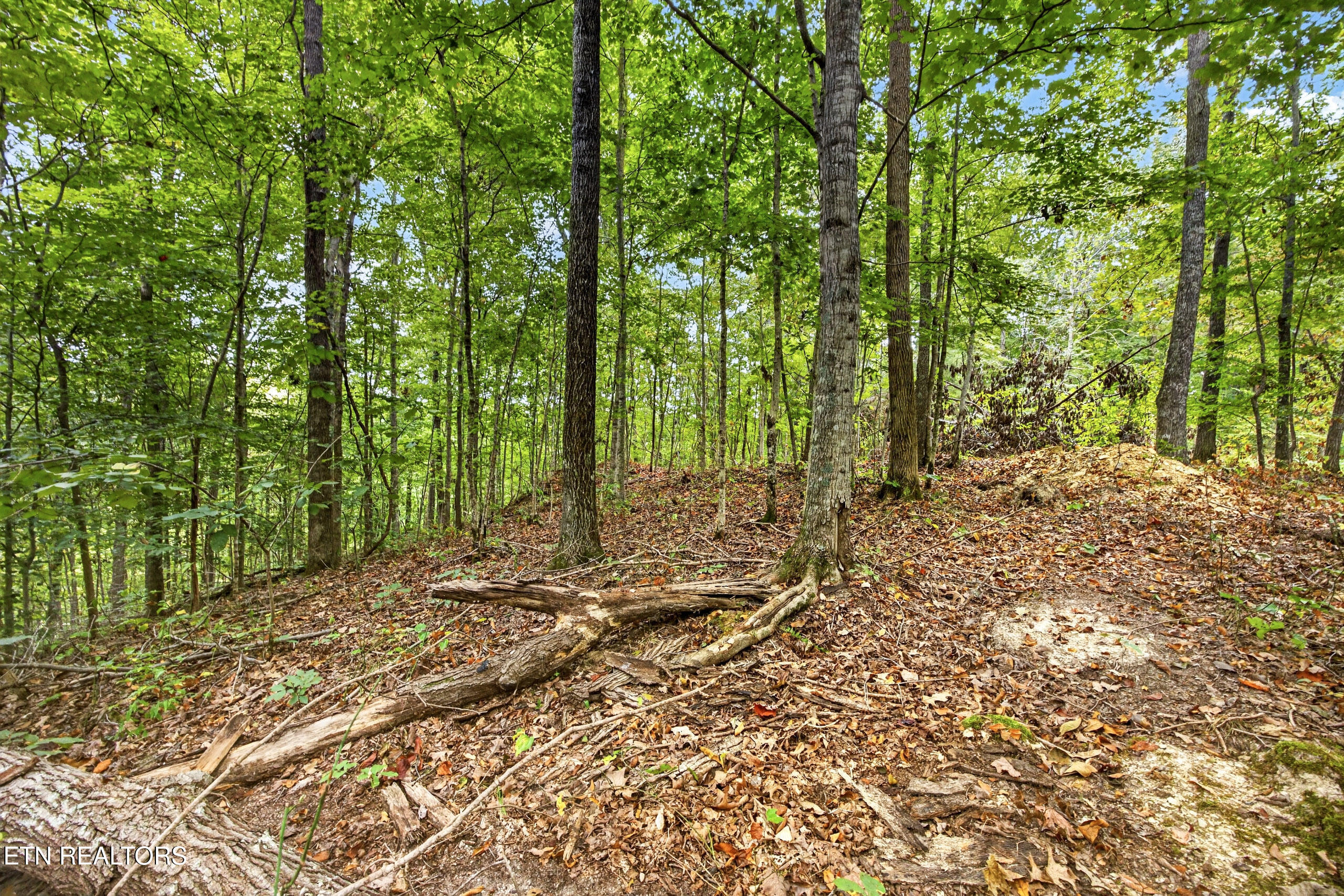 Lot 28 Timber Ridge Lane Celina, TN 38551 - Photo 8 of 14 7-8N5A6777