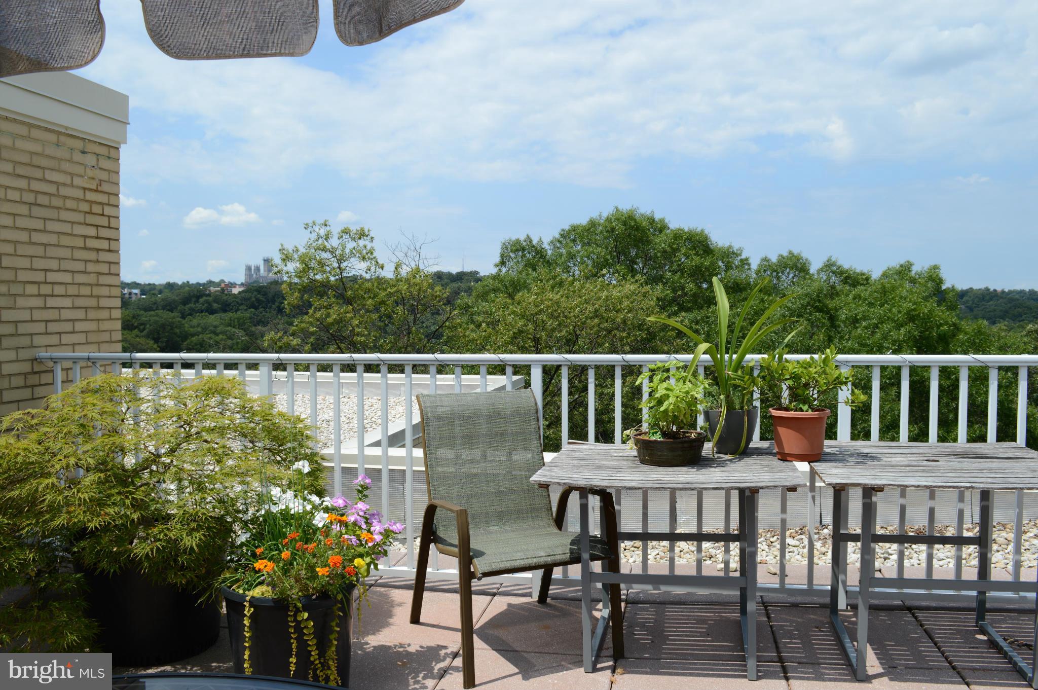 3025 Ontario Road Northwest, Unit 501 Washington, DC 20009 - Photo 21 of 29 Roof Deck