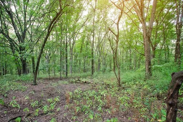 $219,000 | 4310 166th Lane, Lowell, IN 46356