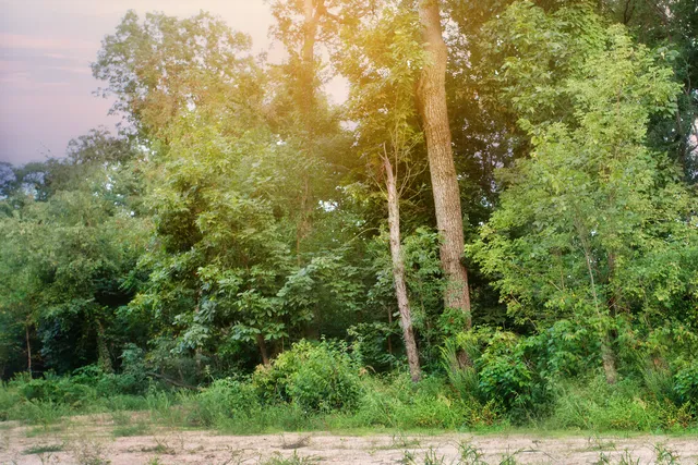 $219,000 | 4310 166th Lane, Lowell, IN 46356