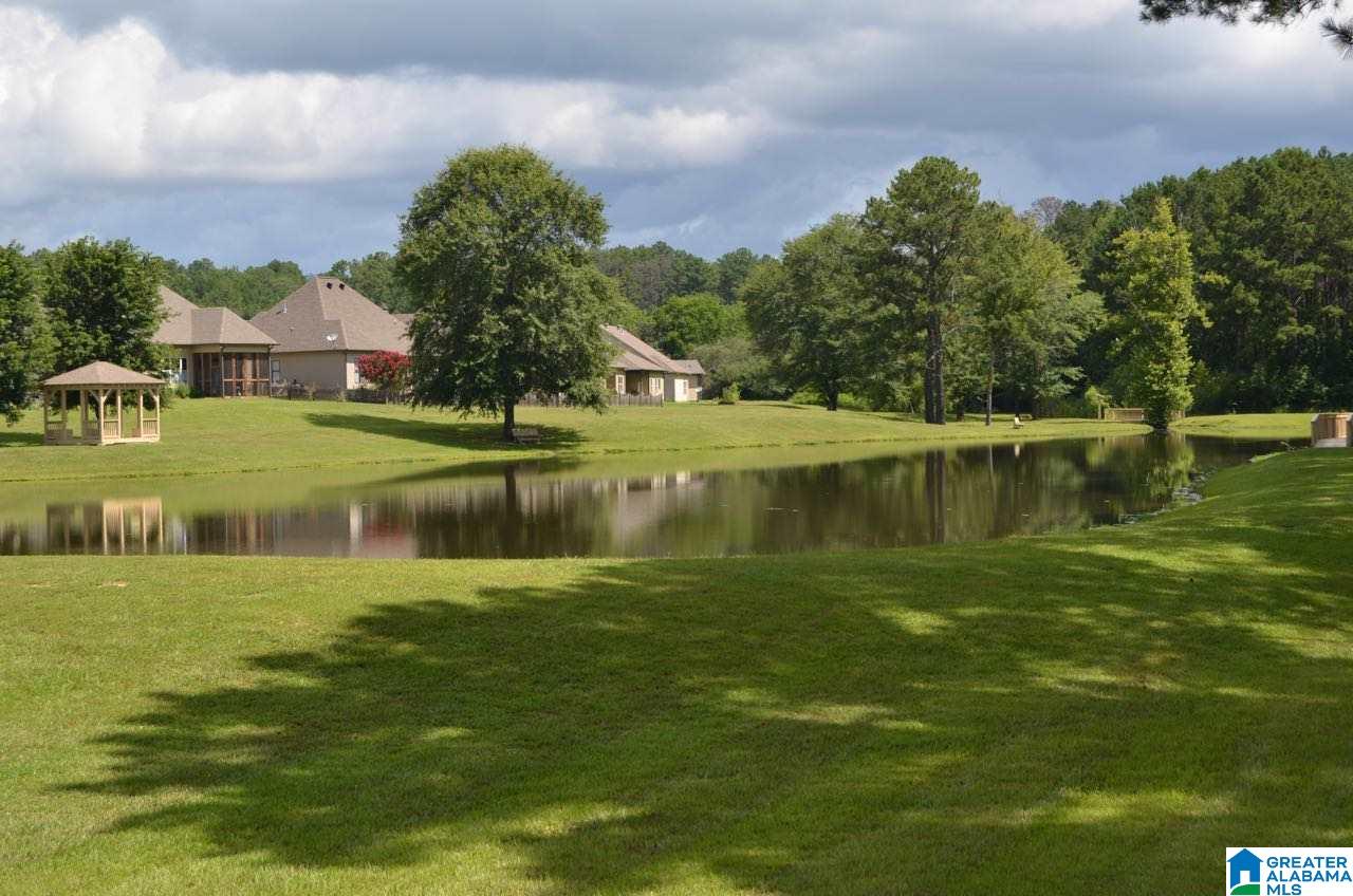 136 Willow View Lane Wilsonville, AL 35186 - Photo 24 of 24