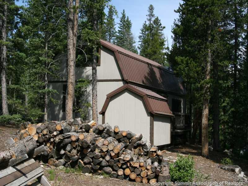 149 Pine Ridge Road Alma, CO 80420 - Photo 19 of 24 Gallery Image 19