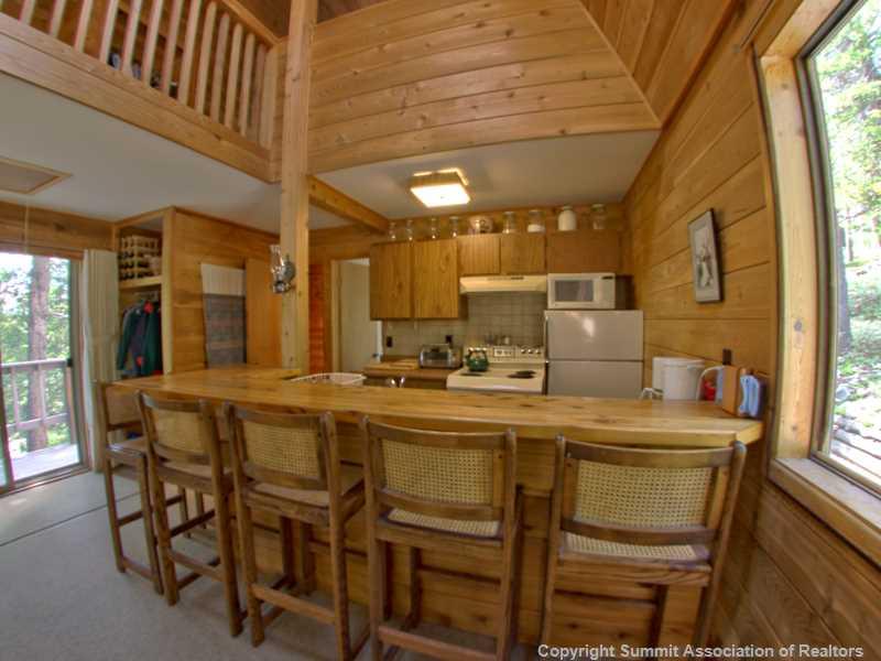 149 Pine Ridge Road Alma, CO 80420 - Photo 3 of 24 Gallery Image 3