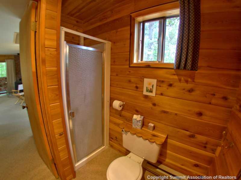 149 Pine Ridge Road Alma, CO 80420 - Photo 7 of 24 Gallery Image 7
