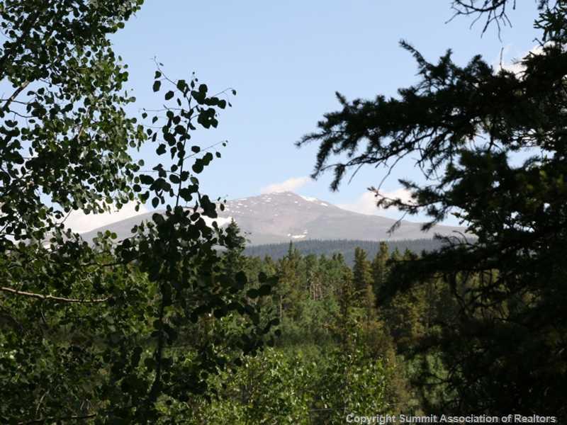 149 Pine Ridge Road Alma, CO 80420 - Photo 8 of 24 Gallery Image 8