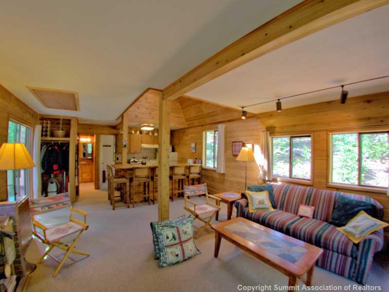 149 Pine Ridge Road Alma, CO 80420 - Photo 9 of 24 Gallery Image 9