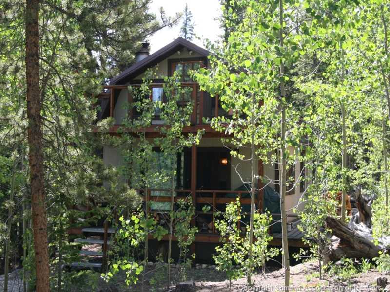 149 Pine Ridge Road Alma, CO 80420 - Photo 10 of 24 Gallery Image 10