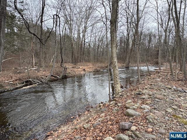 558 Westbrook Road Ringwood, NJ 07456 - Photo 30 of 31