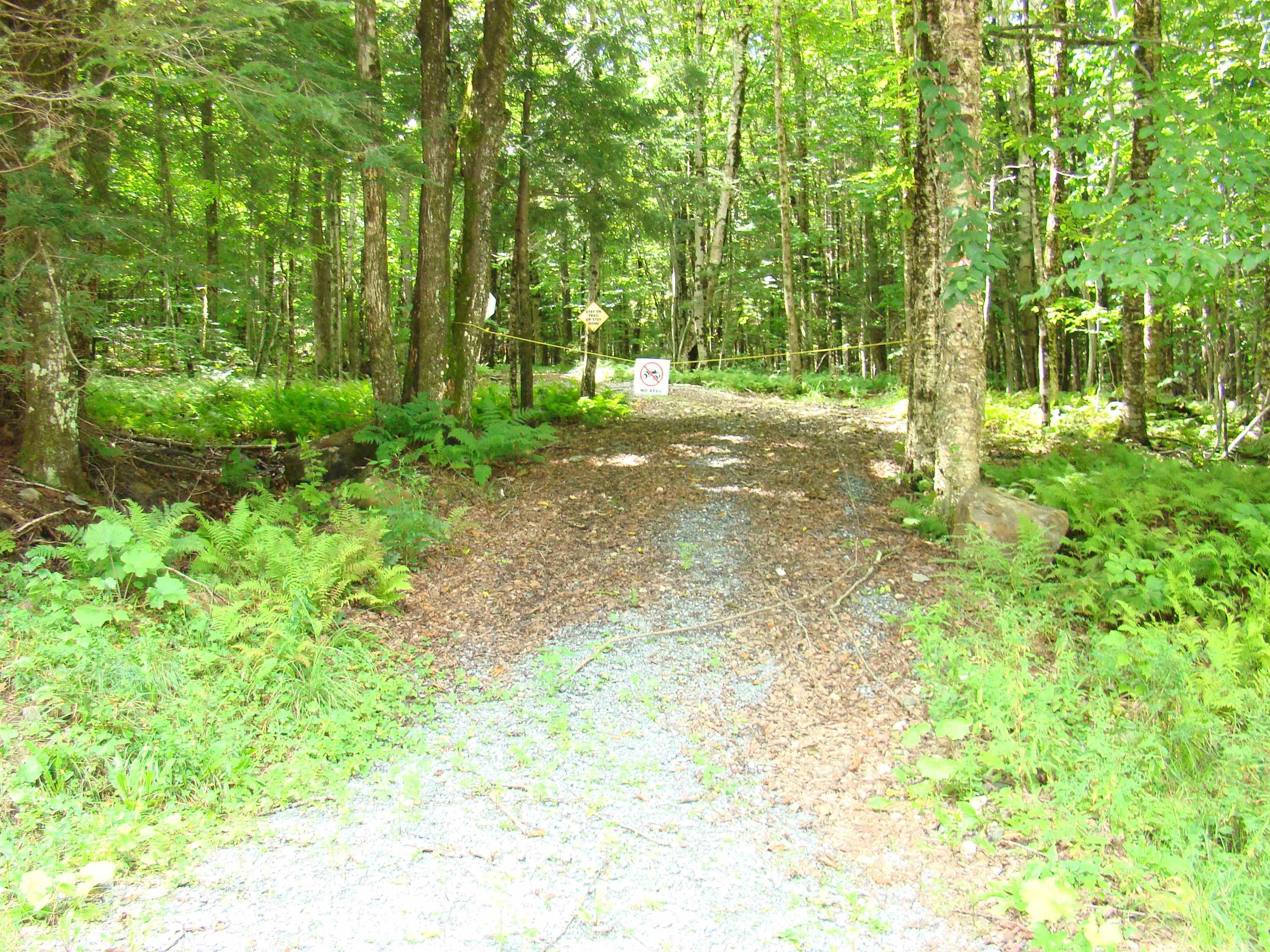 890 Branch Hill Road, Unit 4 Readsboro, VT 05350 - Photo 15 of 24