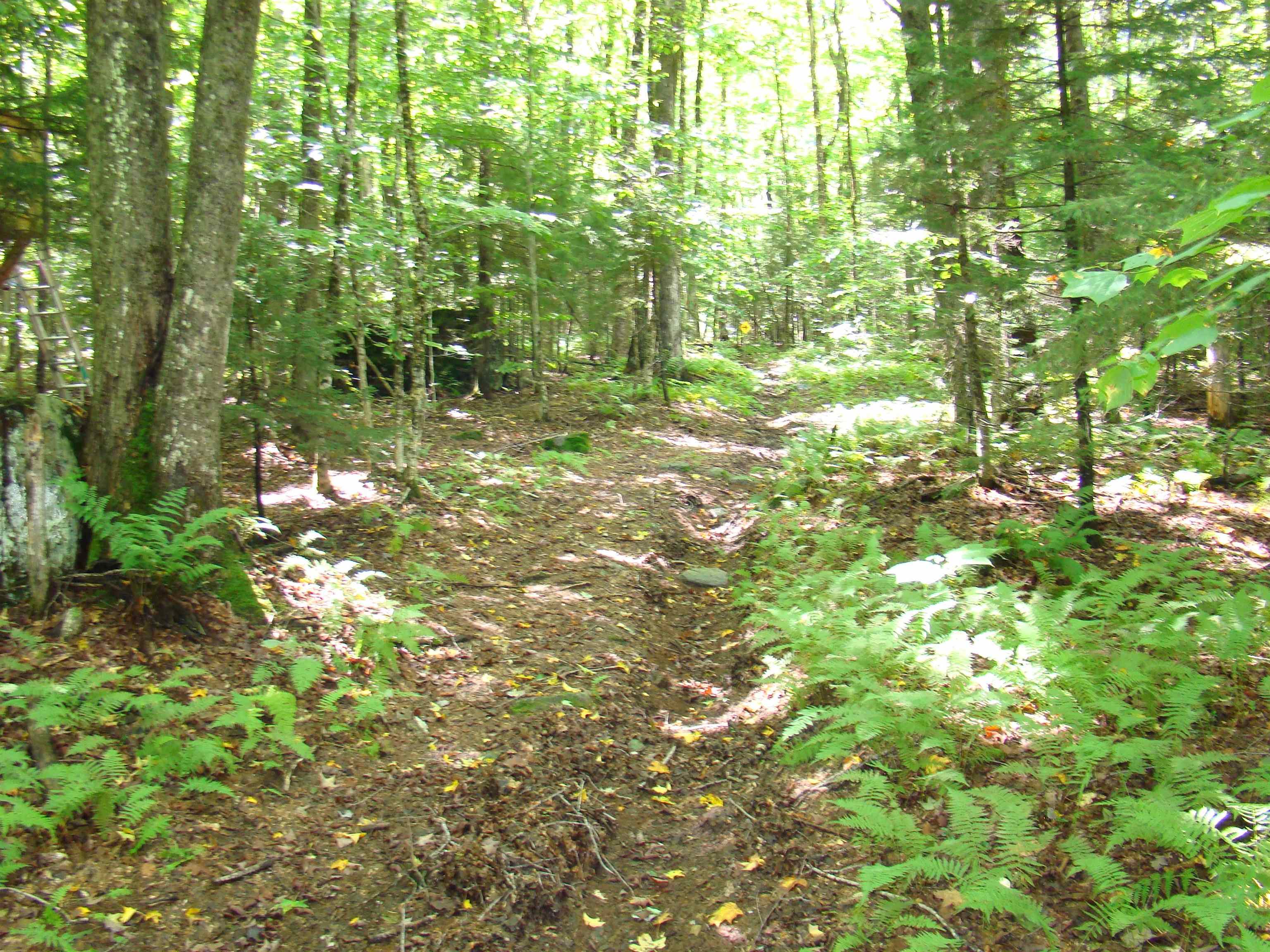 890 Branch Hill Road, Unit 4 Readsboro, VT 05350 - Photo 10 of 24