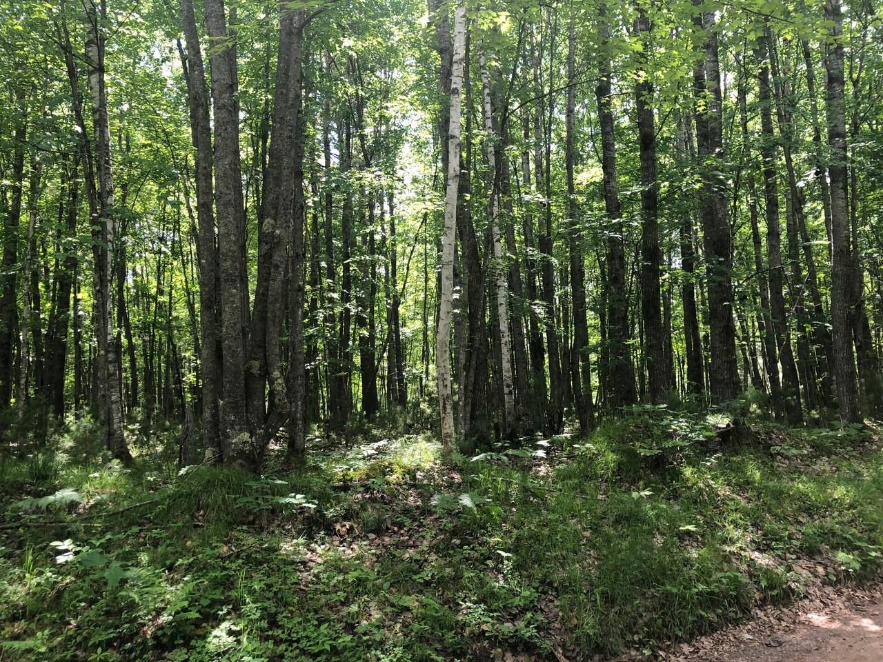 5-ac Lot 5-ac Road Eagle River, WI 54521 - Photo 1 of 5 Gallery Image 1