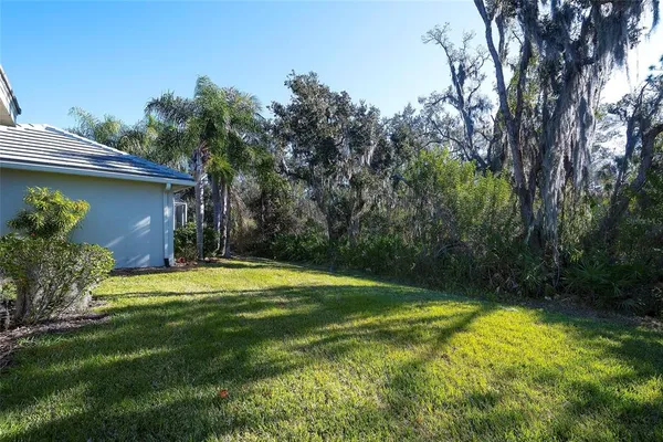 a view of a backyard with a plants and large trees