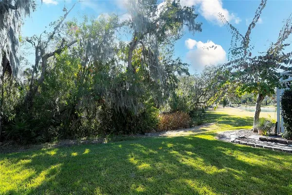 a view of a yard with a tree