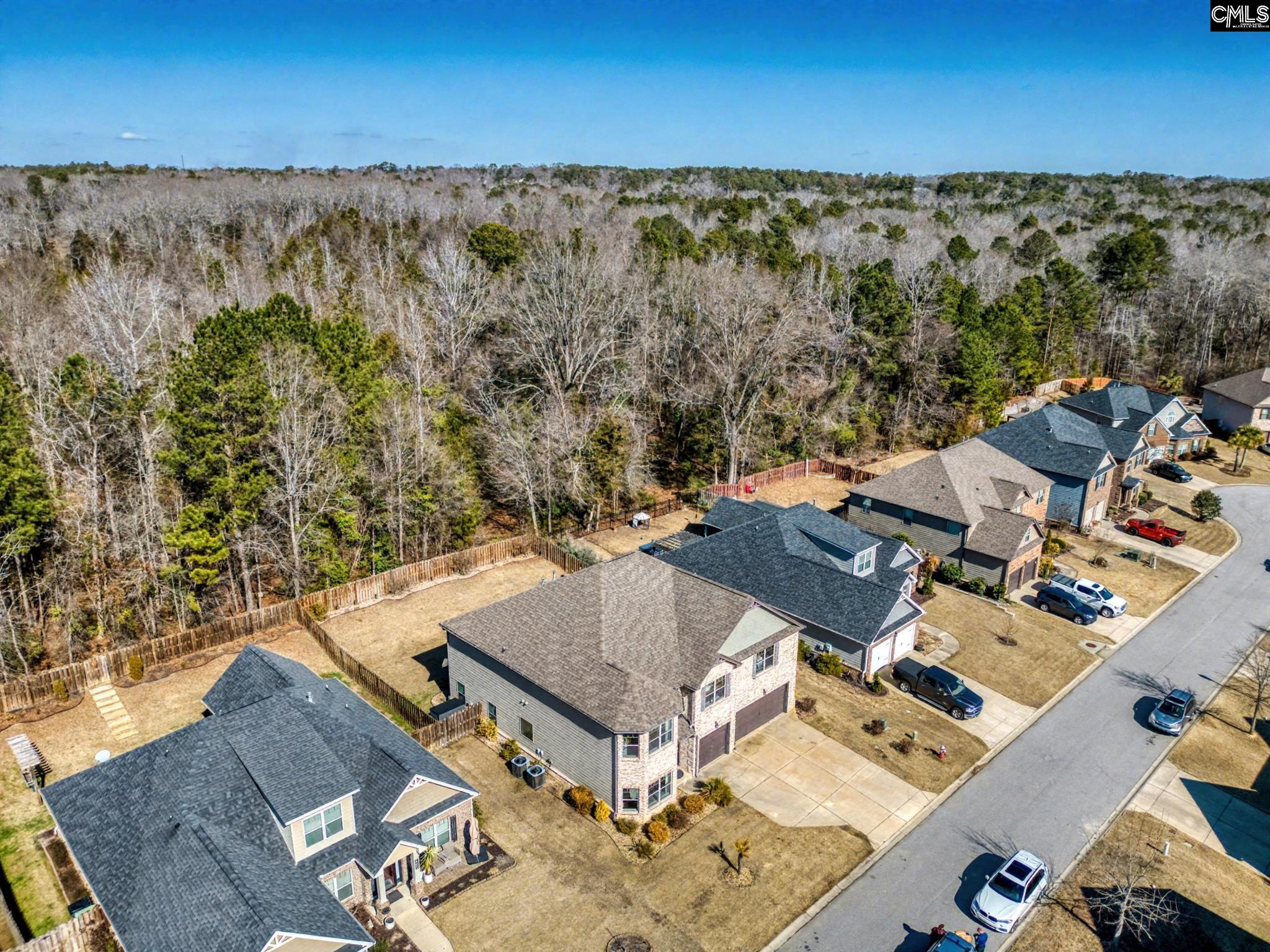 303 Lever Bottom Court Chapin, SC 29036 - Photo 4 of 45