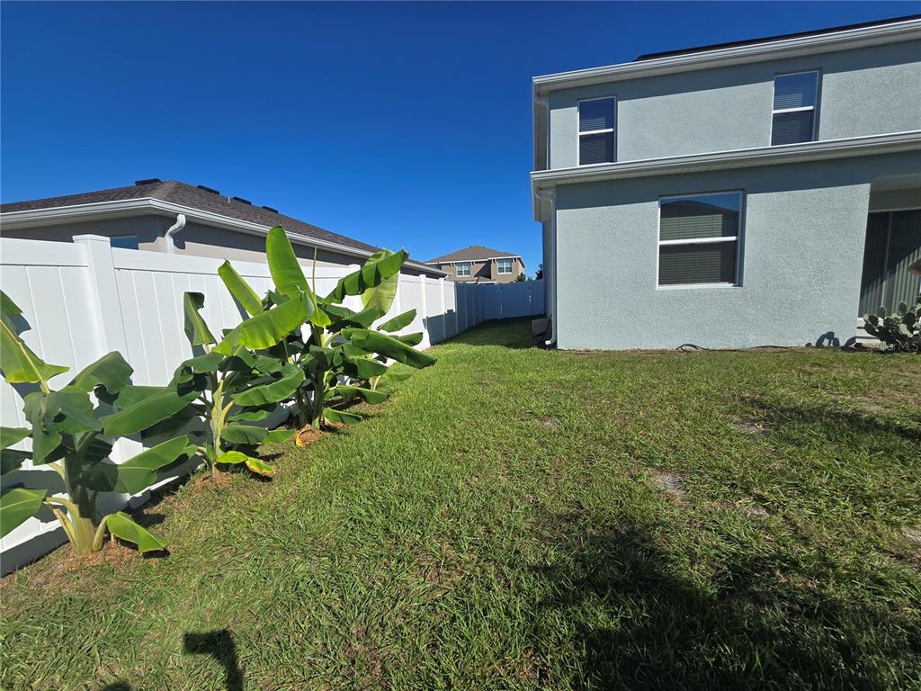 5846 Southwest 80th Lane Ocala, FL 34476 - Photo 4 of 27 a plant that is sitting in front of a house