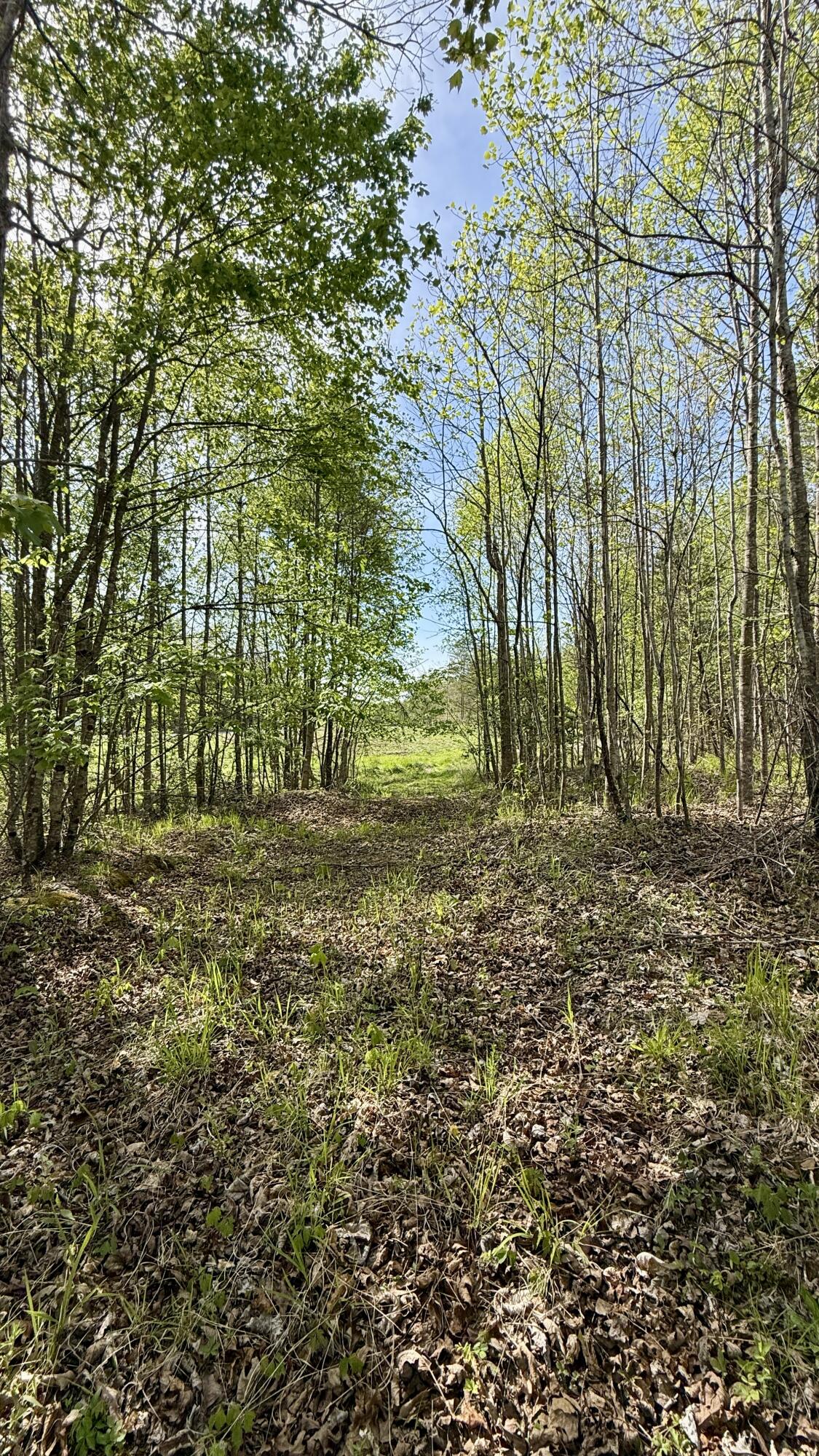 0 Owl Hollow Road, Unit 2 Palmer, TN 37365 - Photo 11 of 17 IMG_4888