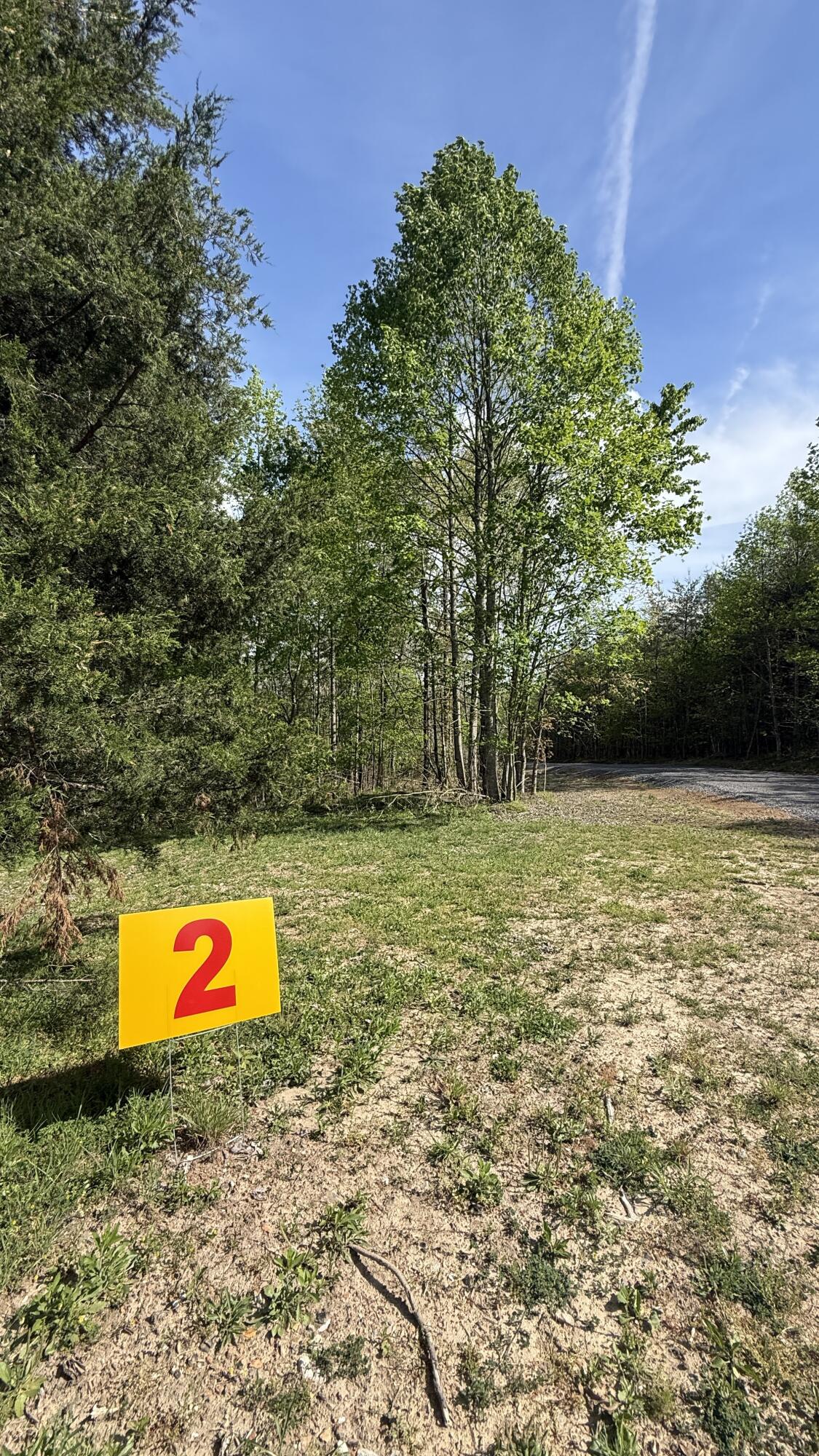 0 Owl Hollow Road, Unit 2 Palmer, TN 37365 - Photo 14 of 17 IMG_4884