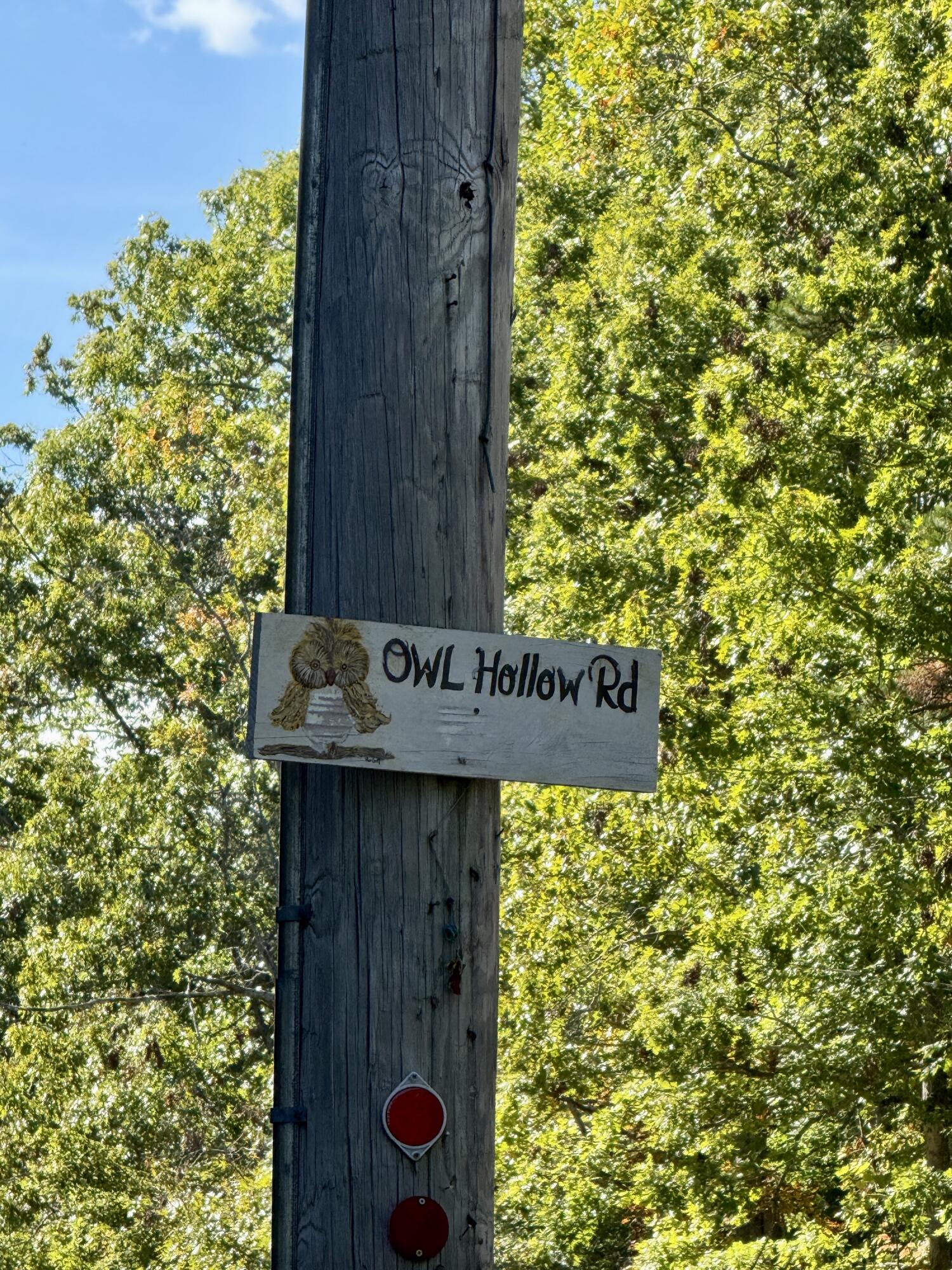 0 Owl Hollow Road, Unit 2 Palmer, TN 37365 - Photo 15 of 17 IMG_2501