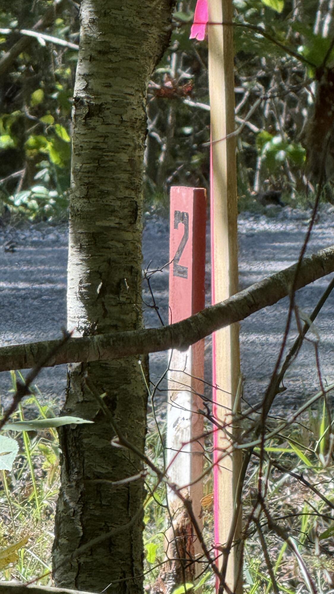 0 Owl Hollow Road, Unit 2 Palmer, TN 37365 - Photo 16 of 17 IMG_2468