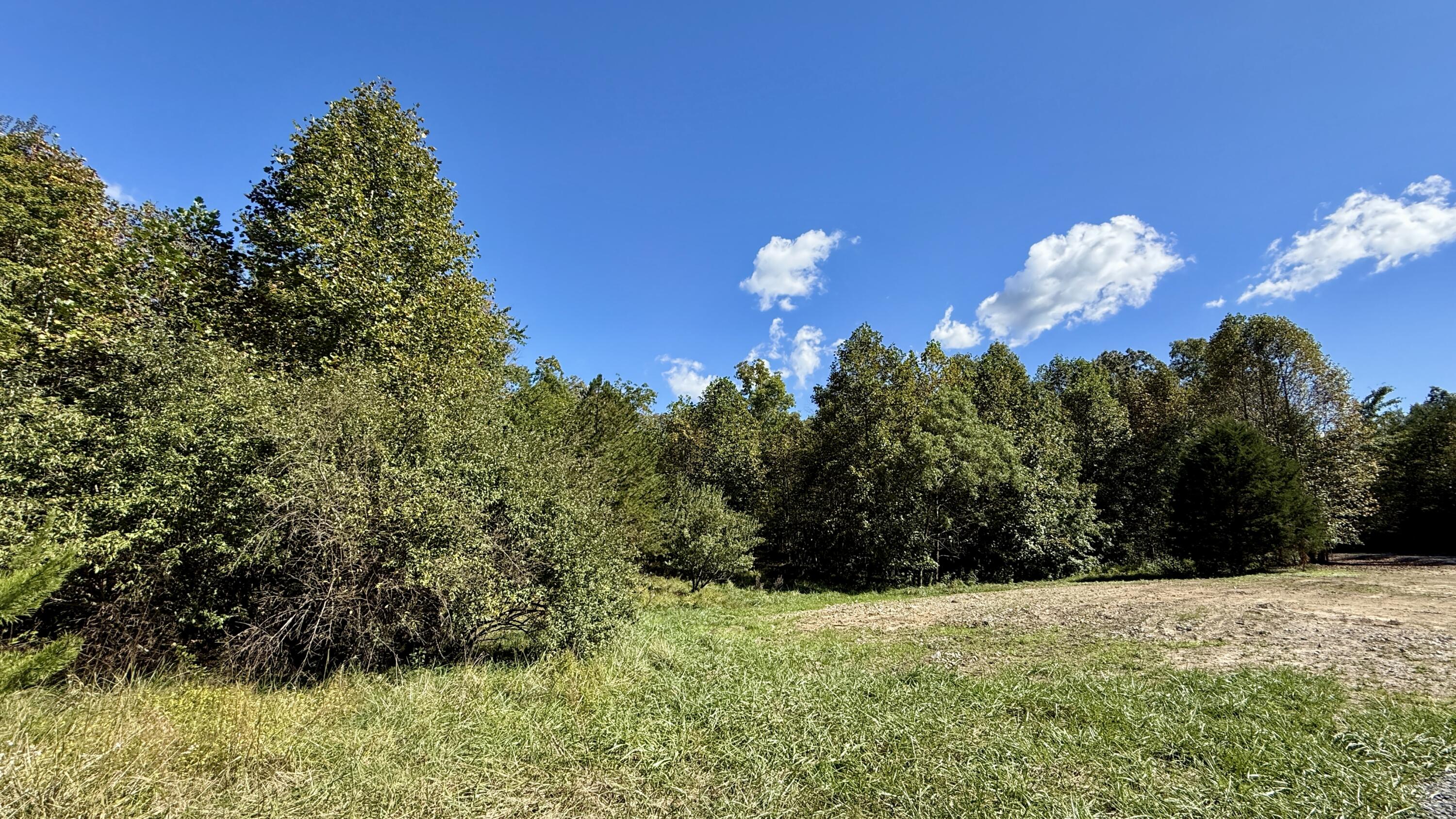 0 Owl Hollow Road, Unit 2 Palmer, TN 37365 - Photo 2 of 17 IMG_2440