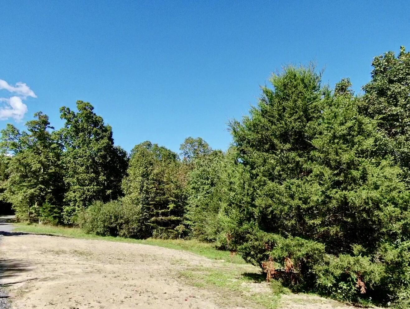 0 Owl Hollow Road, Unit 2 Palmer, TN 37365 - Photo 8 of 17 screen_38bce1d589d0c291_1759468047332