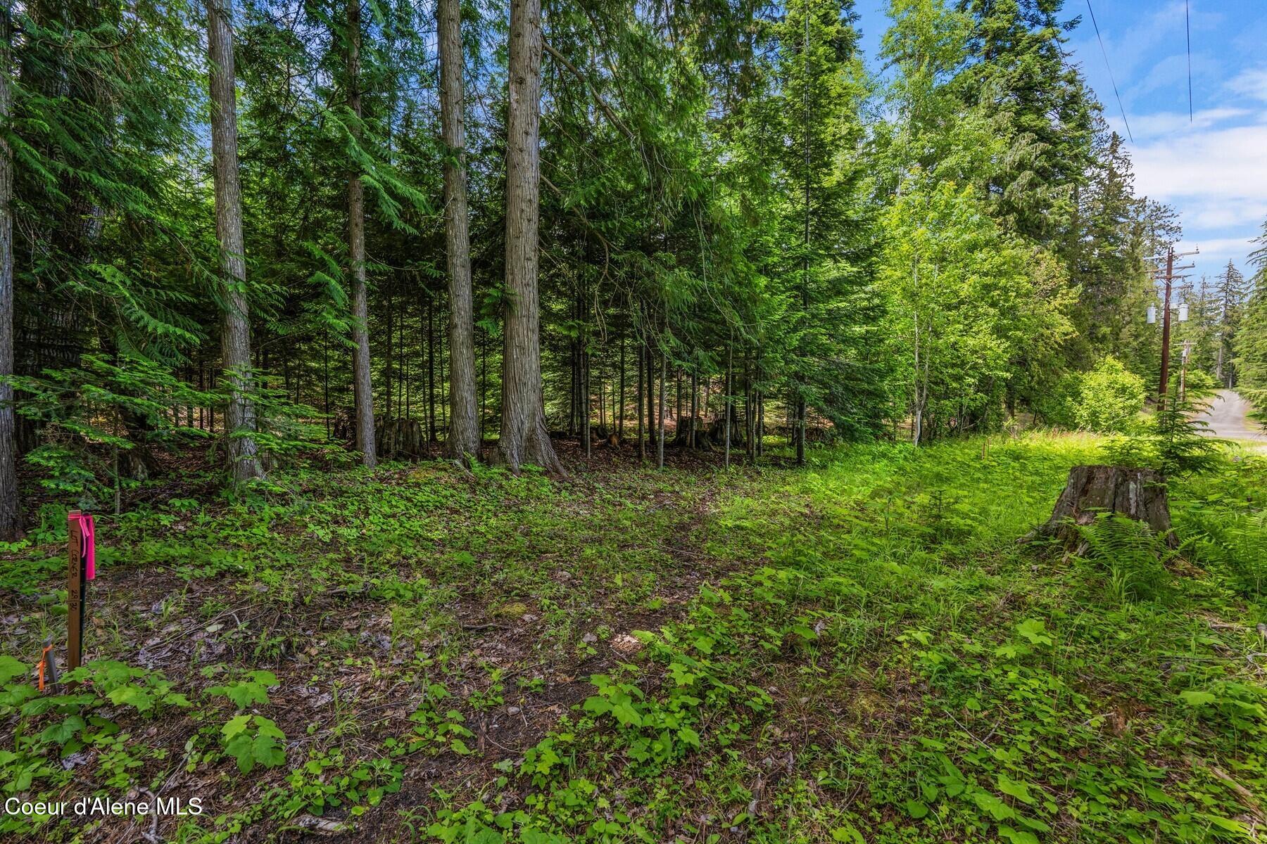 Nna Bruin Road Nordman, ID 83848 - Photo 28 of 44 86560220