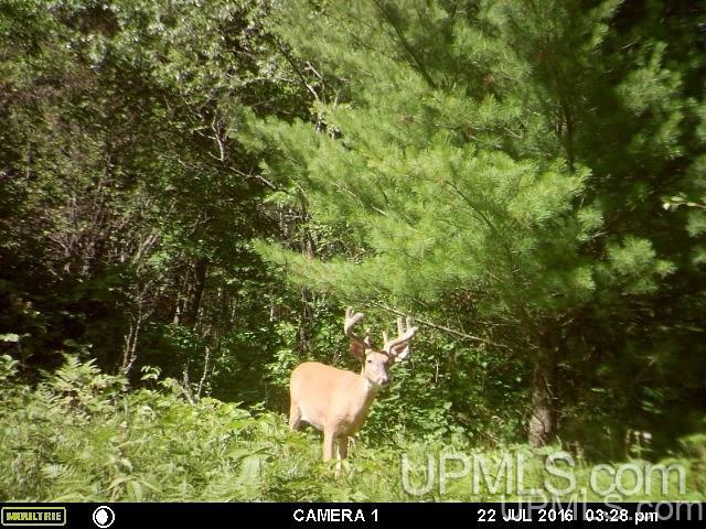 V-wi Point Lane Oconto, WI 54153 - Photo 7 of 7
