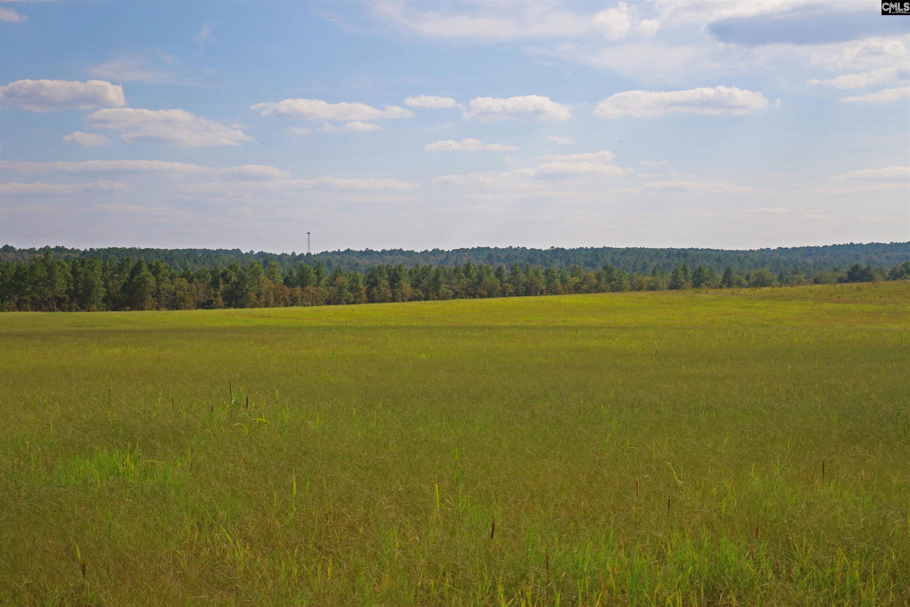 Tbd Browns Pond Road Wagener, SC 29164 - Photo 5 of 48