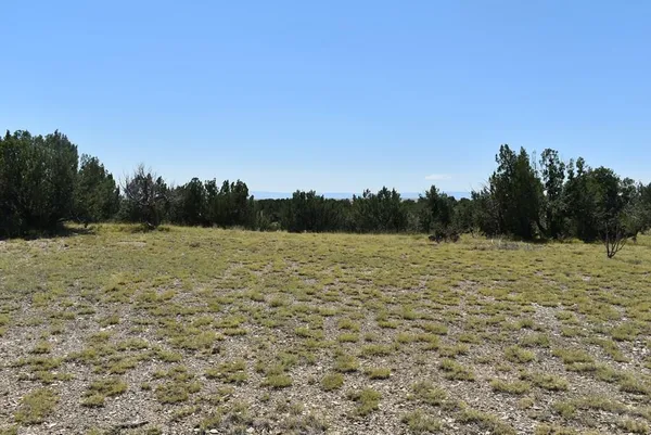 a view of a field of grass and trees