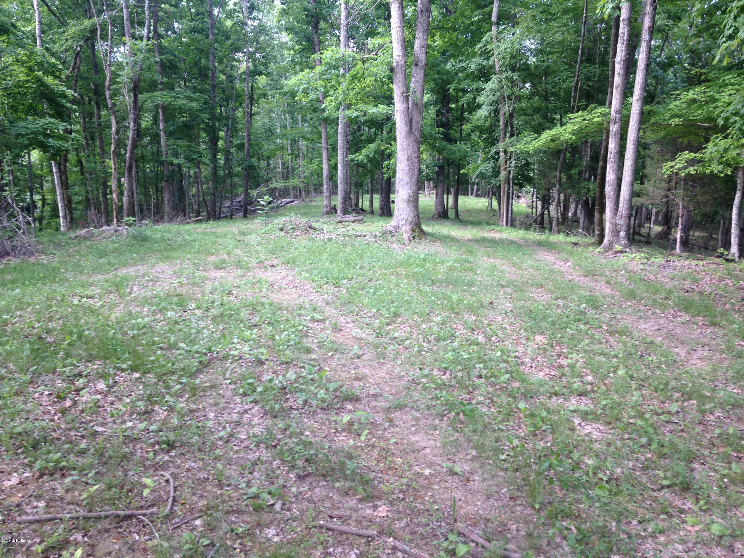 1050 Cedar Flat Curtis Road Edmonton, KY 42129 - Photo 17 of 28 16