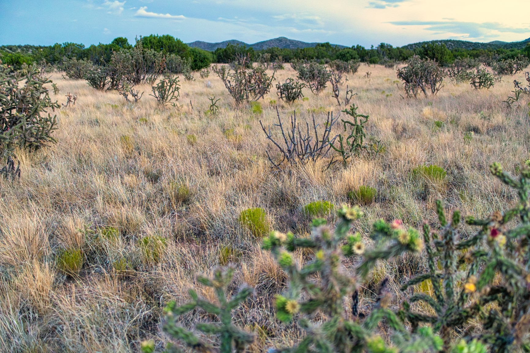 509 Gold Mine Road Cerrillos, NM 87010 - Photo 11 of 20