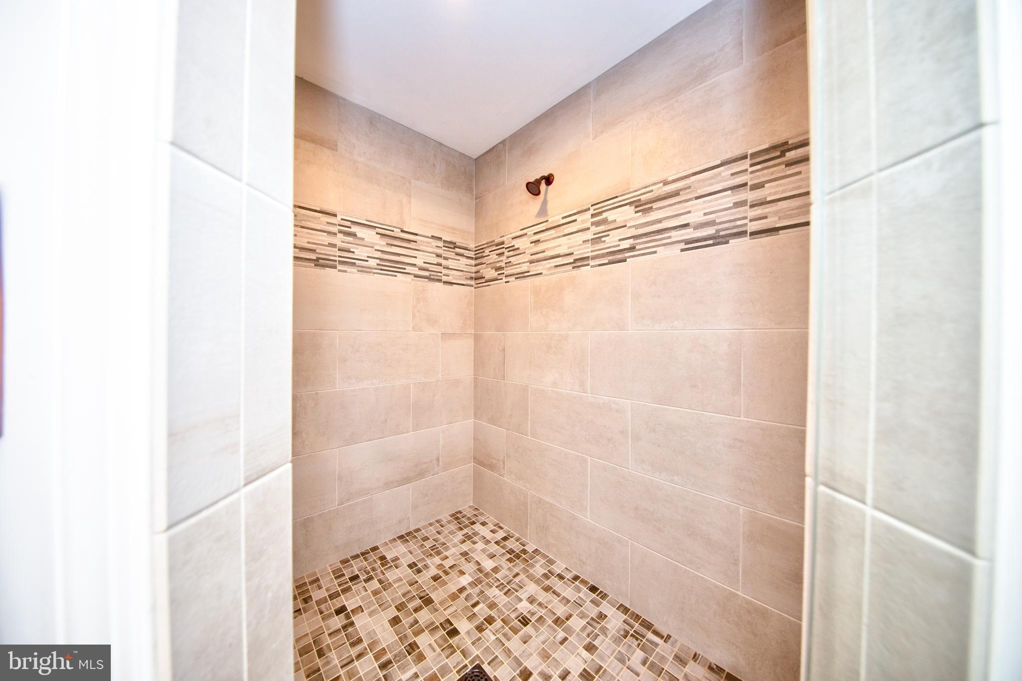 3534 Scarboro Road Street, MD 21154 - Photo 21 of 49 Main home master shower
