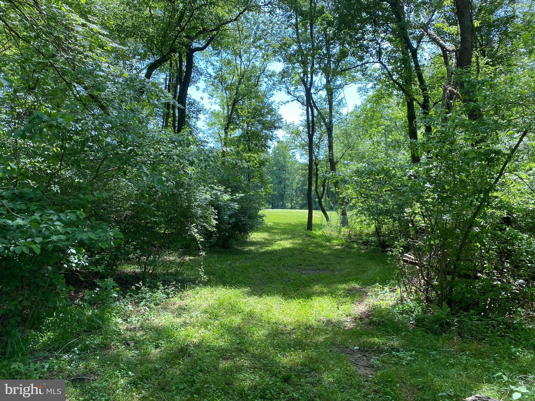 3534 Scarboro Road Street, MD 21154 - Photo 47 of 49 Trails perfect for four wheeling