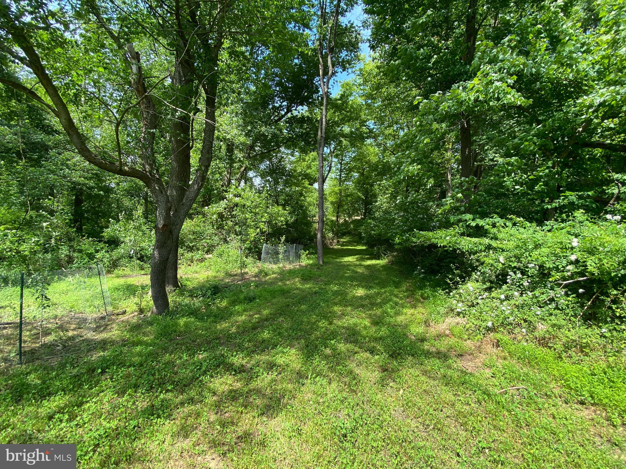 3534 Scarboro Road Street, MD 21154 - Photo 48 of 49 Trails perfect for four wheeling