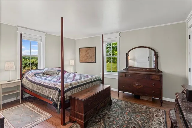 a view of a park with large trees