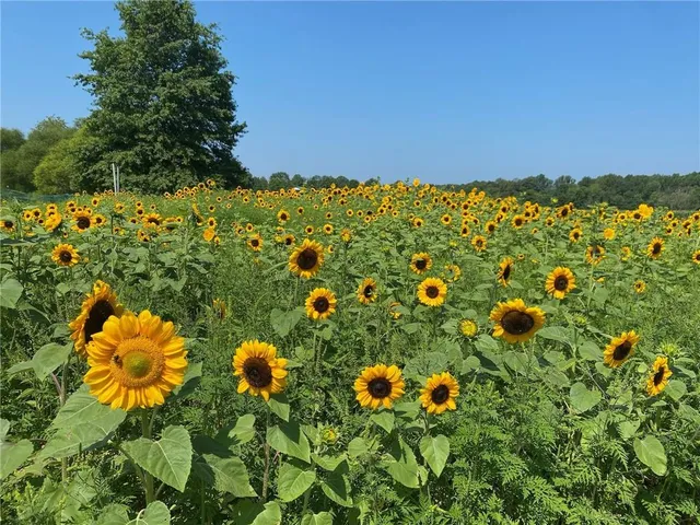 $2,900,000 | 206 Lee Road, Grove City, PA 16127