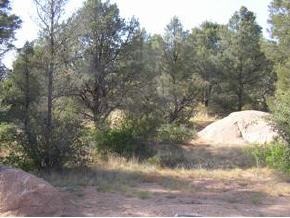 4680 Distant View Trail Prescott, AZ 86305 - Photo 1 of 1 Primary Photo