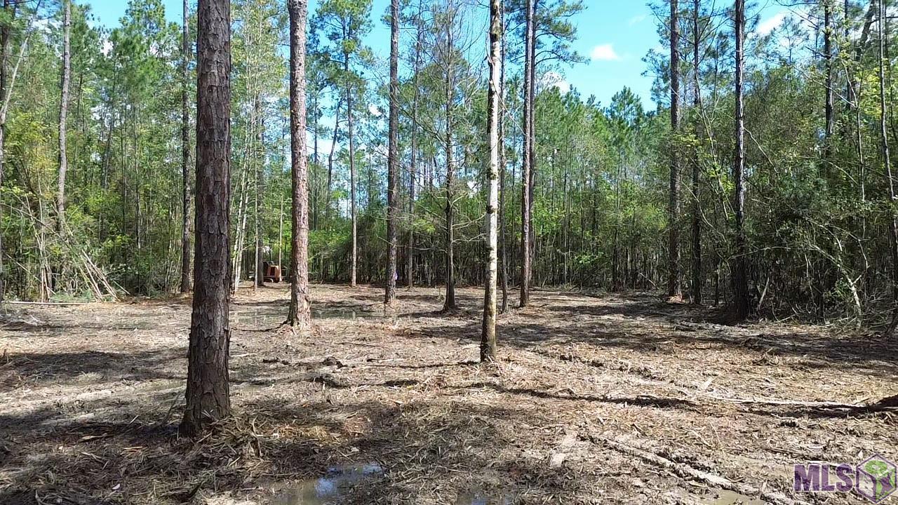 73335 Penn Mill Road Covington, LA 70435 - Photo 13 of 20 Gallery Image 13
