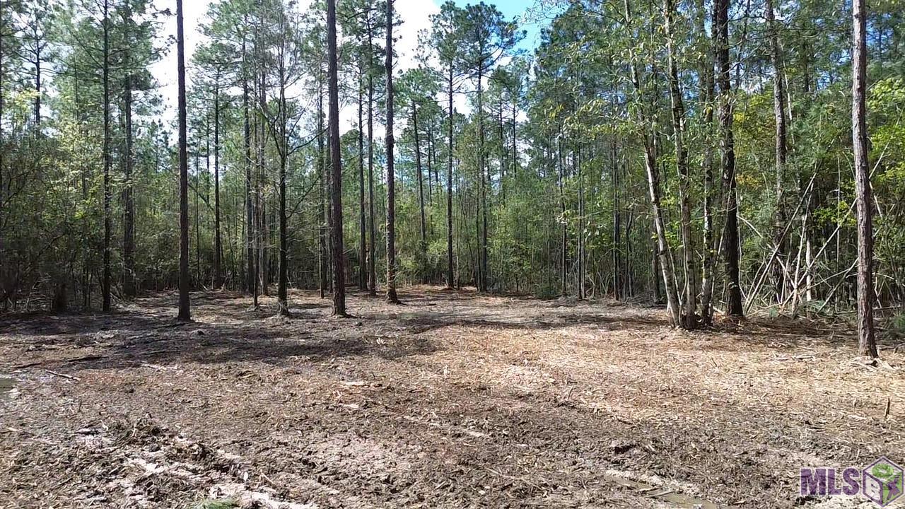 73335 Penn Mill Road Covington, LA 70435 - Photo 15 of 20 Gallery Image 15