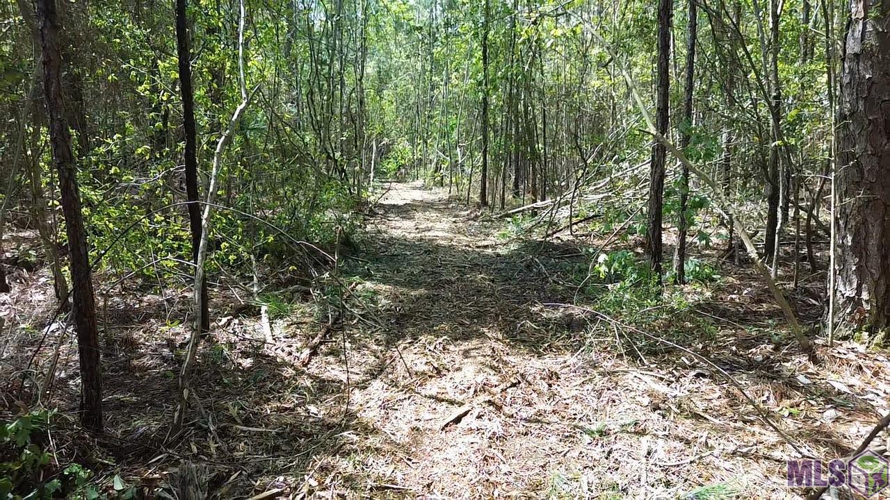 73335 Penn Mill Road Covington, LA 70435 - Photo 16 of 20 Gallery Image 16
