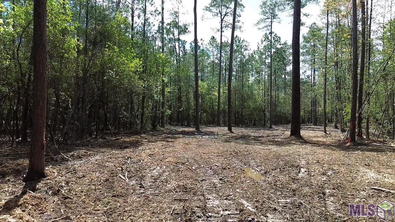 73335 Penn Mill Road Covington, LA 70435 - Photo 17 of 20 Gallery Image 17