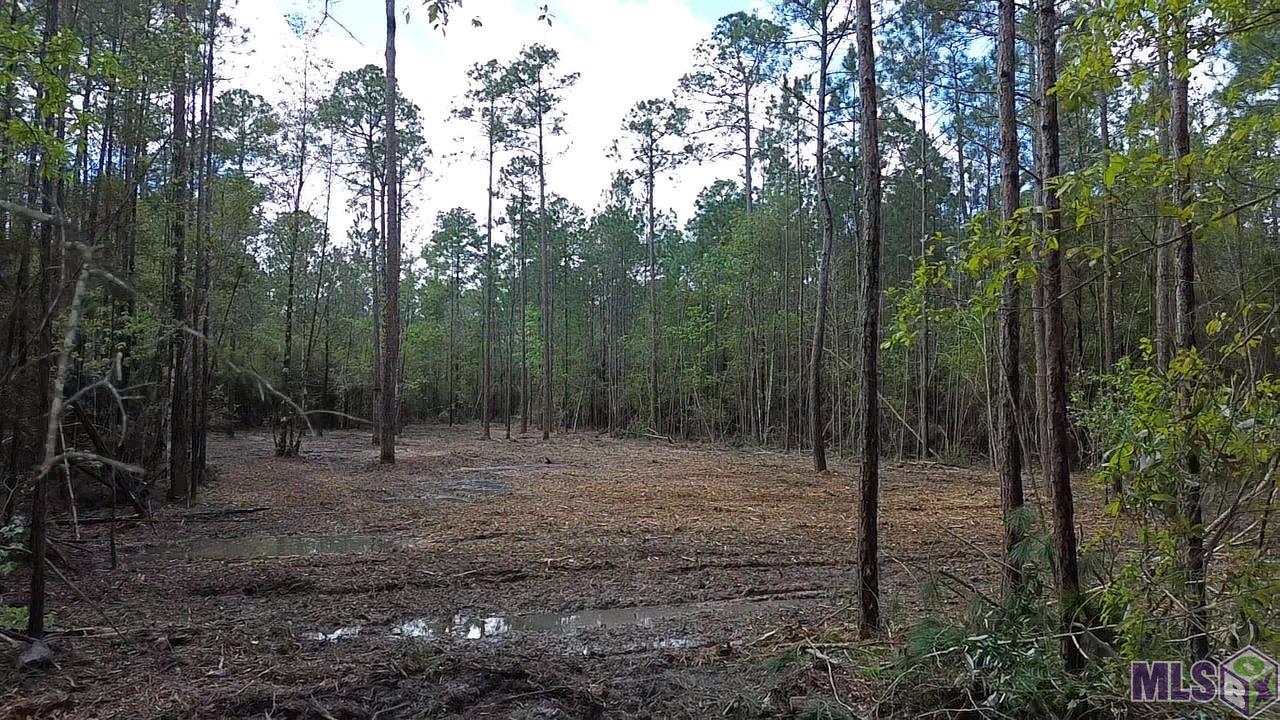 73335 Penn Mill Road Covington, LA 70435 - Photo 18 of 20 Gallery Image 18