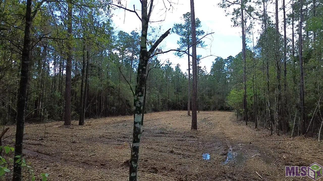 73335 Penn Mill Road Covington, LA 70435 - Photo 20 of 20 Gallery Image 20