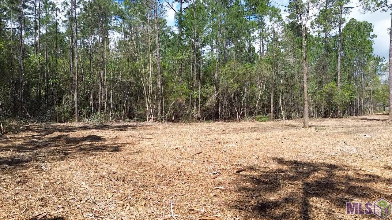 73335 Penn Mill Road Covington, LA 70435 - Photo 4 of 20 Gallery Image 4